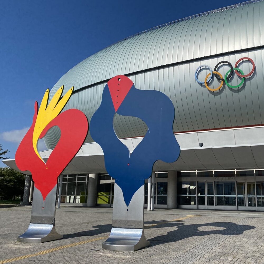 ホワイトリング 長野市真島総合スポーツアリーナ